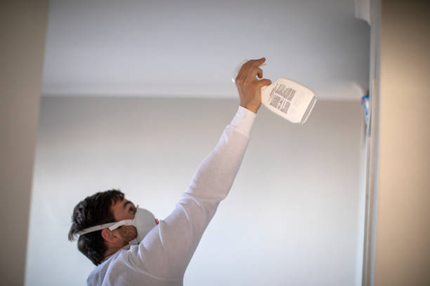 Best Affordable Mold Removal  in Arlington Heights, PA