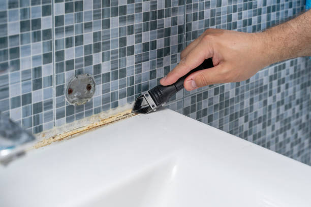  Arlington Heights, PA Mold Removal Pros